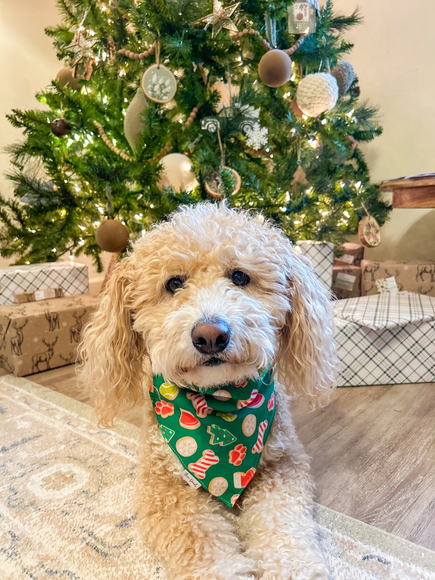 Dog Christmas Cookies