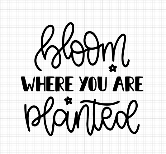 Bloom where you are planted Vinyl Add-on