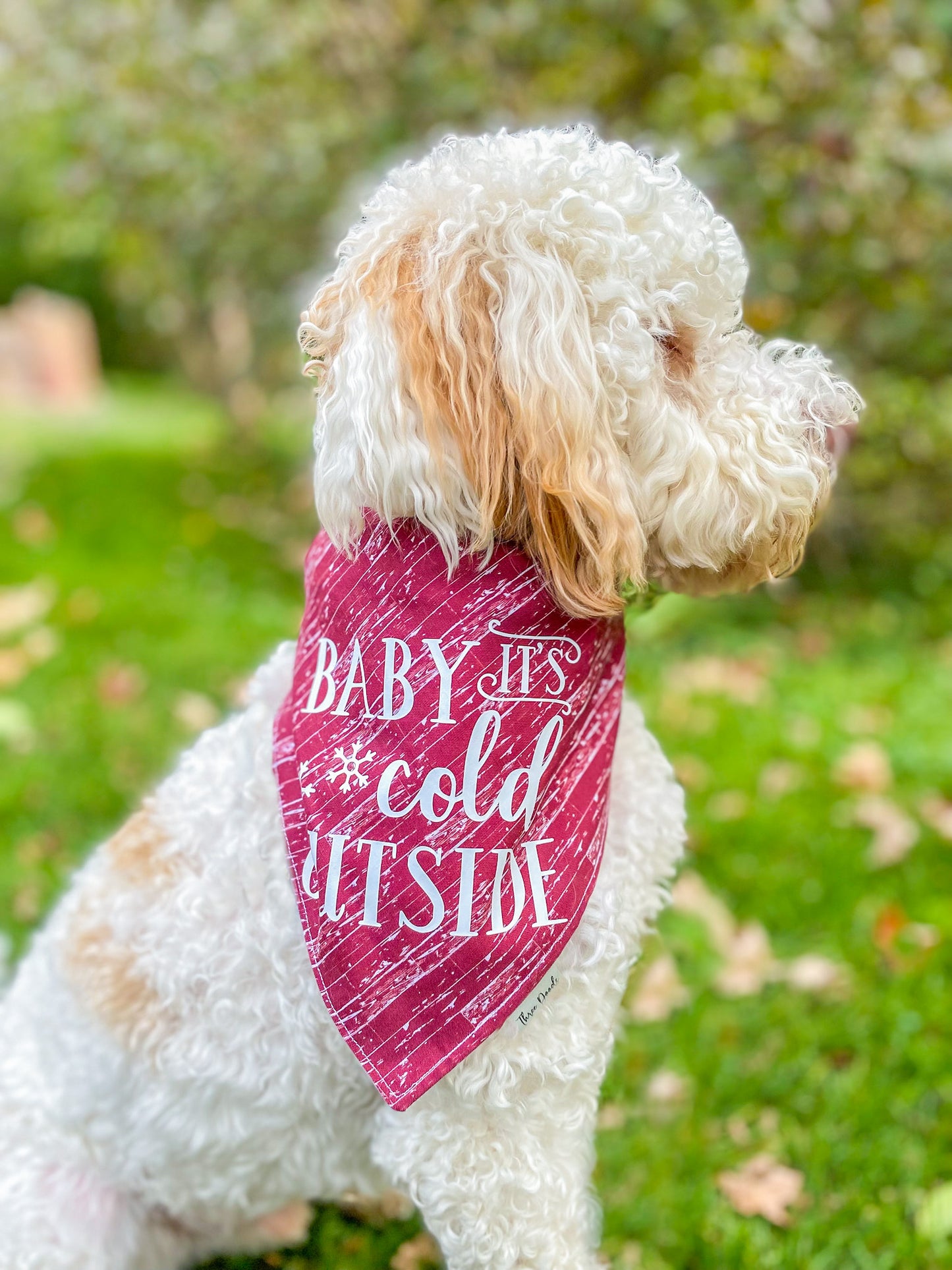 Baby it's cold outside Vinyl Add-on