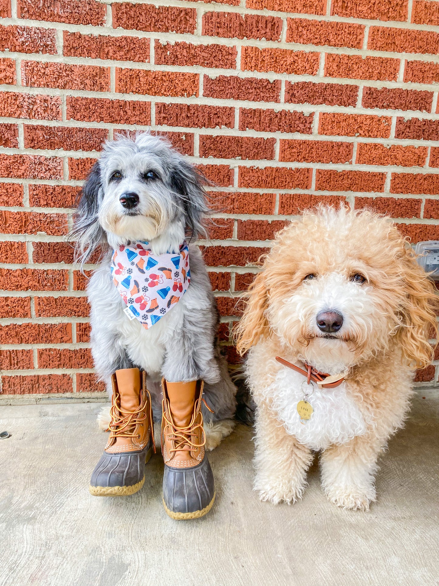 Snow boots