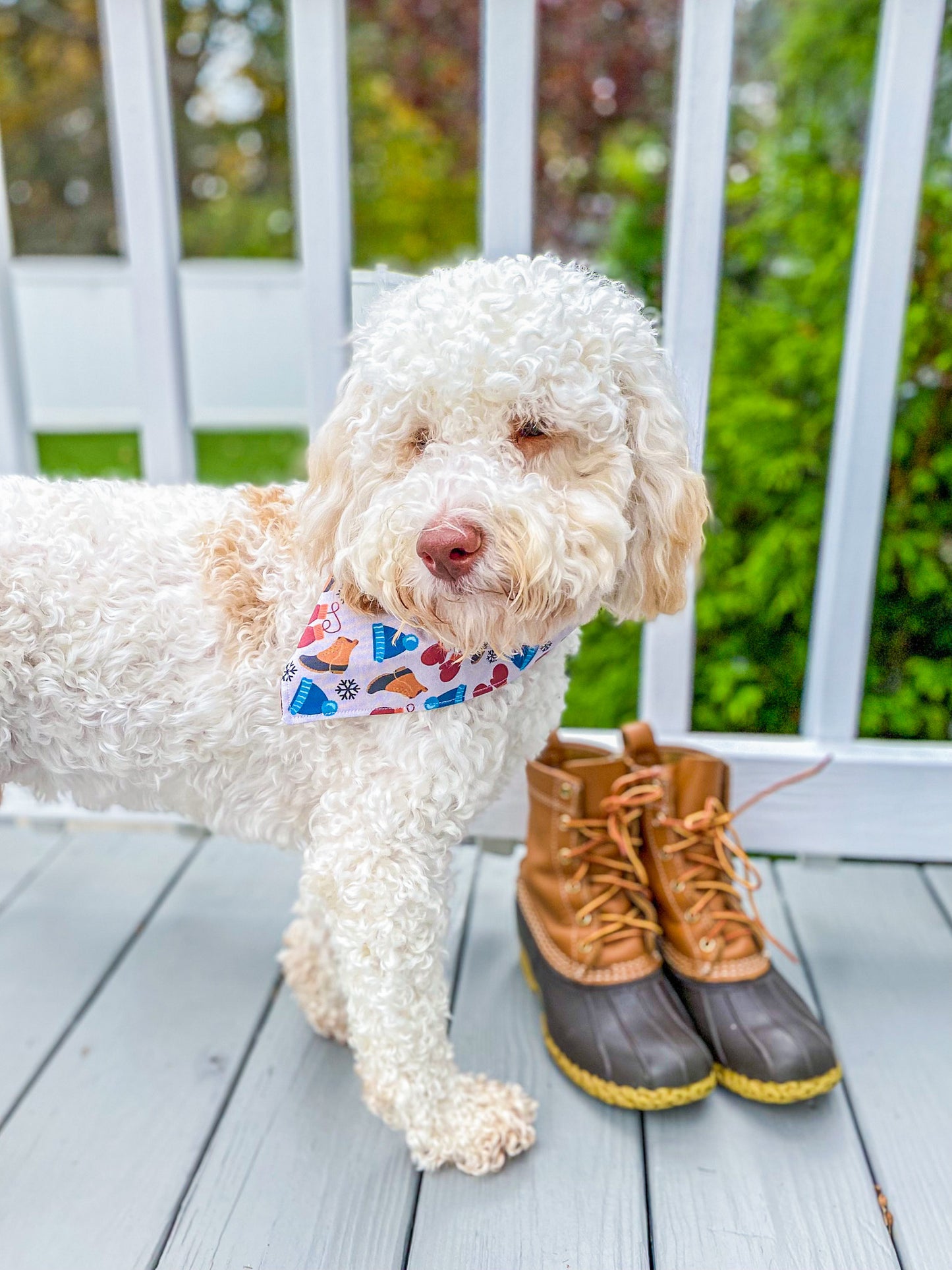 Snow boots